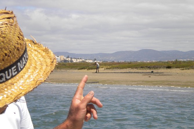 2-hour Bird Watching Guided Boat Trip in Ria Formosa from Faro Algarve - Meeting at Faro’s nautical club