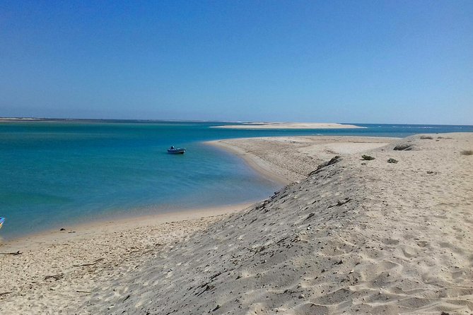 2-hour Bird Watching Guided Boat Trip in Ria Formosa from Faro Algarve - Barrinha Beach and the lagoon’s open edge