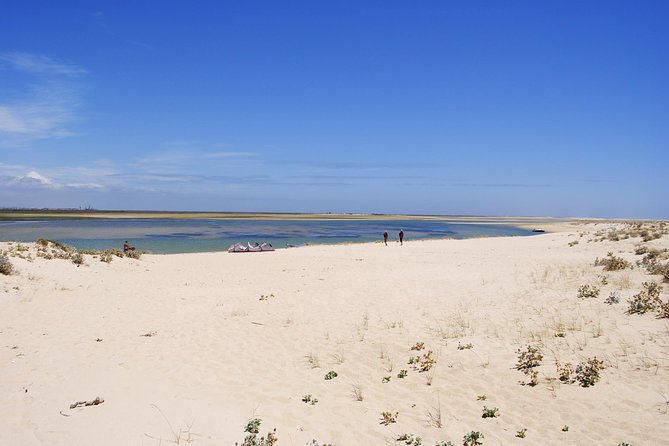 2-hour Bird Watching Guided Boat Trip in Ria Formosa from Faro Algarve - Faro’s old town from the water