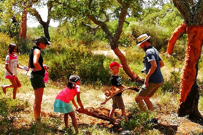 2hr Walk in a Cork Forest - More than trees: wine, pork, honey, and acorns