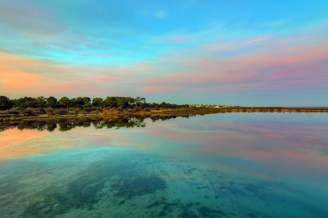 3-Hour Boat Tour in Ria Formosa on Olhão Algarve - What you see in the natural park