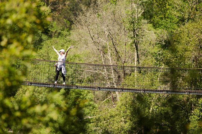 516 Arouca Bridge & Paiva Walkways Tour with Lunch from Porto - A generous lunch in Alvarenga