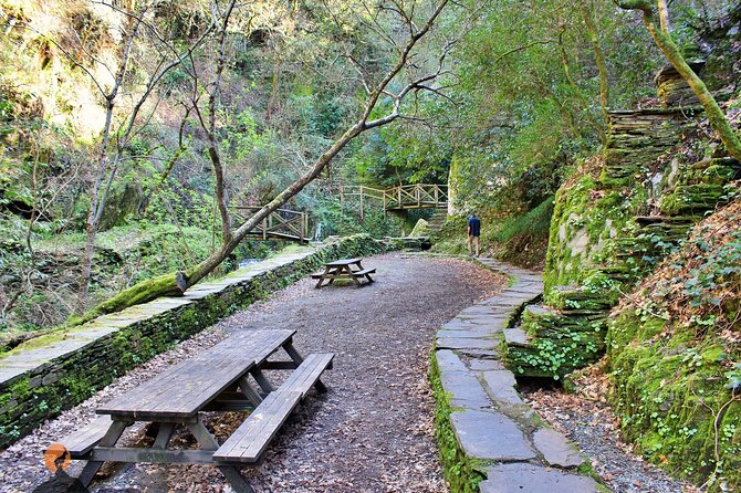 A tour between Cascades and Schist Villages, Piodão - Fraga da Pena and the Mata da Margaraça