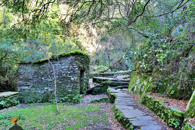 A tour between Cascades and Schist Villages, Piodão - What the eight-hour schedule feels like