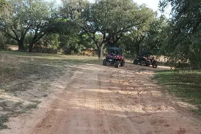 Albufeira 1.5 hour Off-Road Tour Buggy Adventure Tour - Who will enjoy this tour most