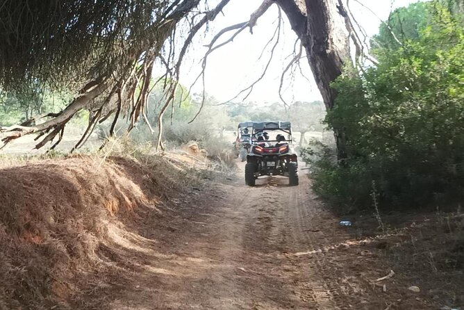 Albufeira 1.5 hour Off-Road Tour Buggy Adventure Tour - A 90-minute tour or something longer?