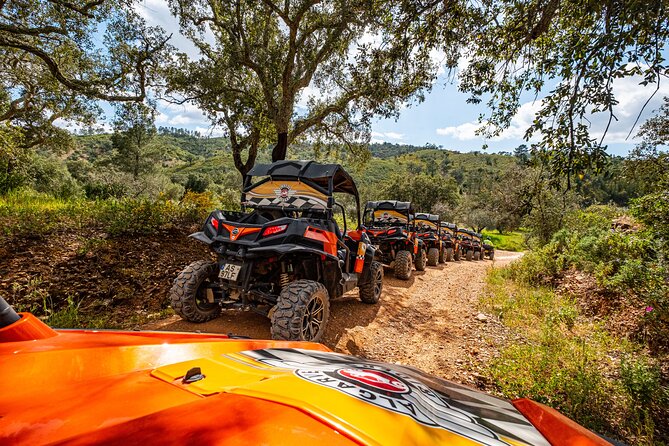 Albufeira: 1.5h Off-Road Buggy Tour - Dirt & Scenic Trails - The Medieval Bridge at Paderne