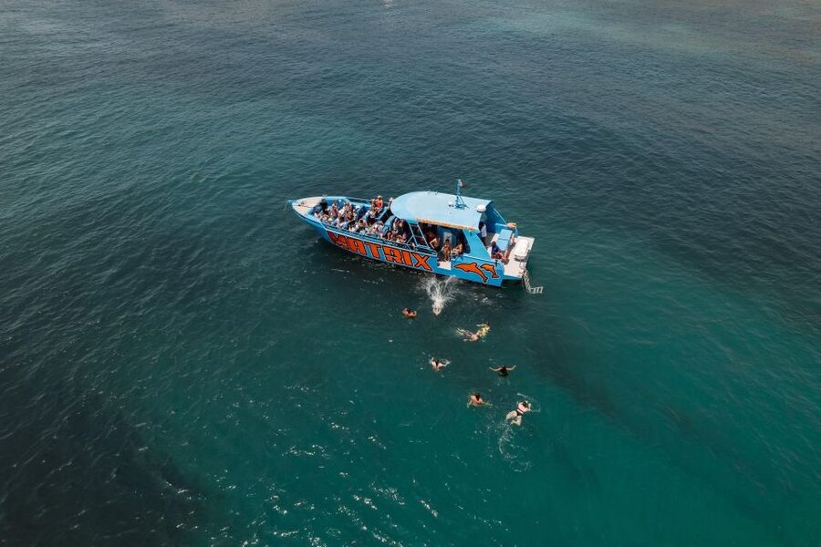 Albufeira: 2.5-Hour Dolphin Watching and Caves Trip - Comfort, speed, and what to wear