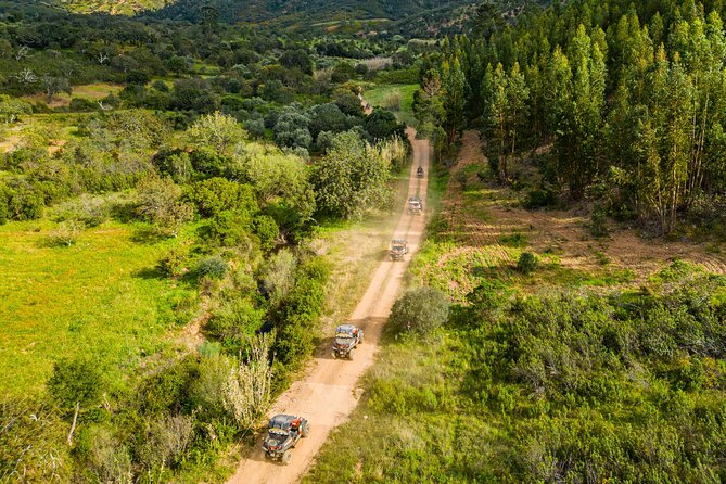 Albufeira: 3-Hour Off-Road Buggy Tour to Hidden Algarve Trails - Guides, instructions, and group atmosphere