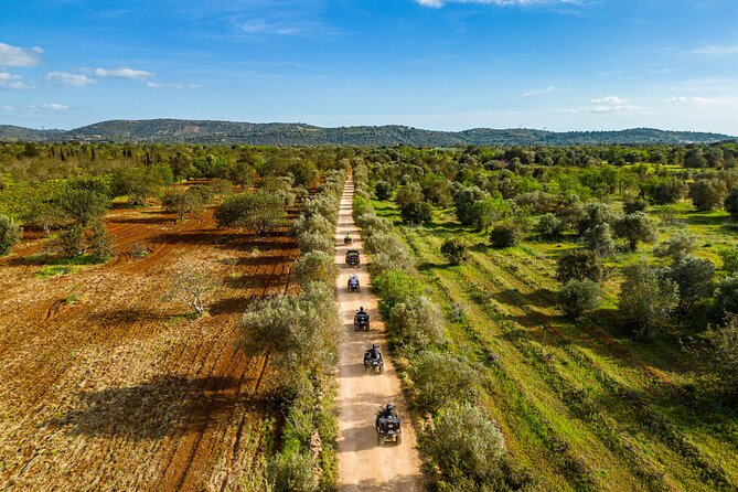 Albufeira 3-Hour Off-Road Quad Tour - Dust, tracks, and the physical side of the ride