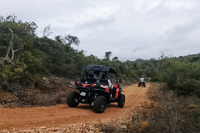 Albufeira 3 hour Off-Road Tour Buggy Adventure Tour - The return ride and what three hours means