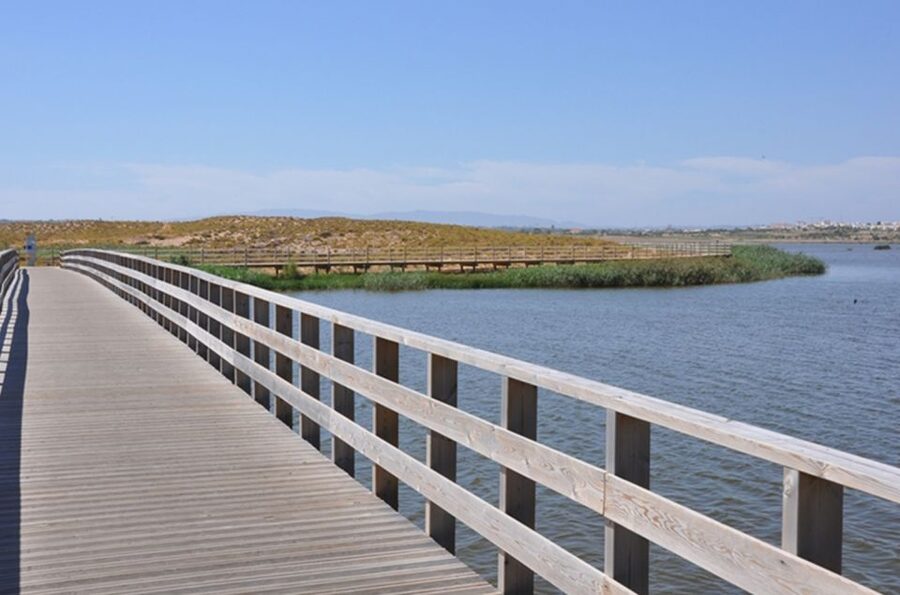 Albufeira: Beaches, Old Town, and Salgados Lagoon Jeep Tour - Salgados Lagoon adds birds to the coastal day