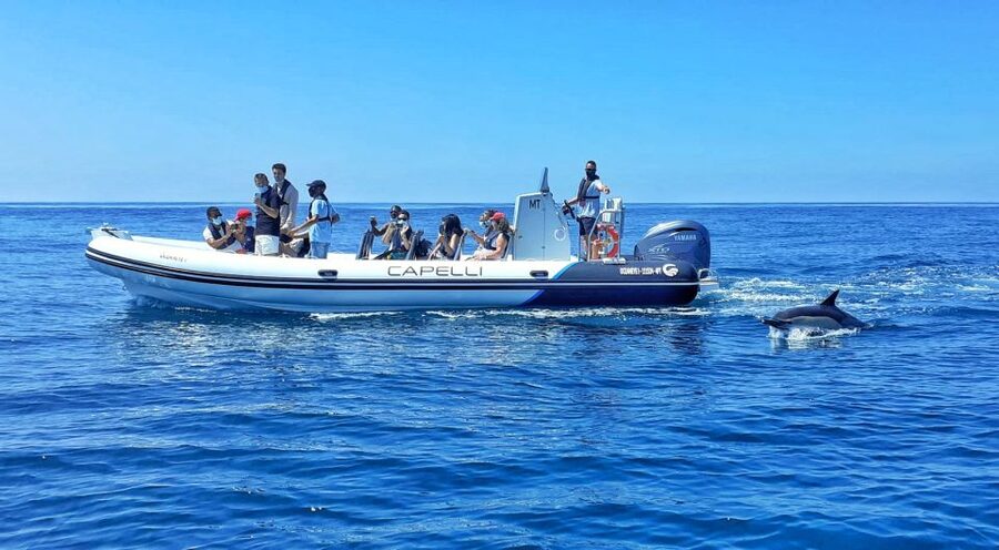 Albufeira: Benagil Cave and Dolphin Sightseeing Boat Cruise - Finding Oceaneye at Gate 3