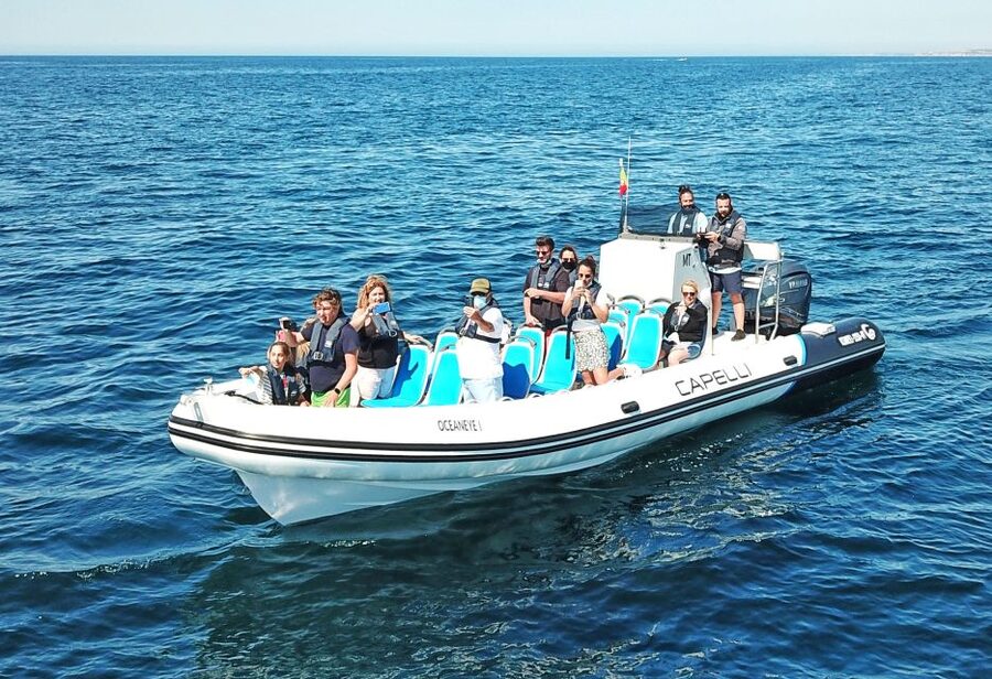 Albufeira: Benagil Cave and Dolphin Sightseeing Boat Cruise - Searching for Dolphins Offshore