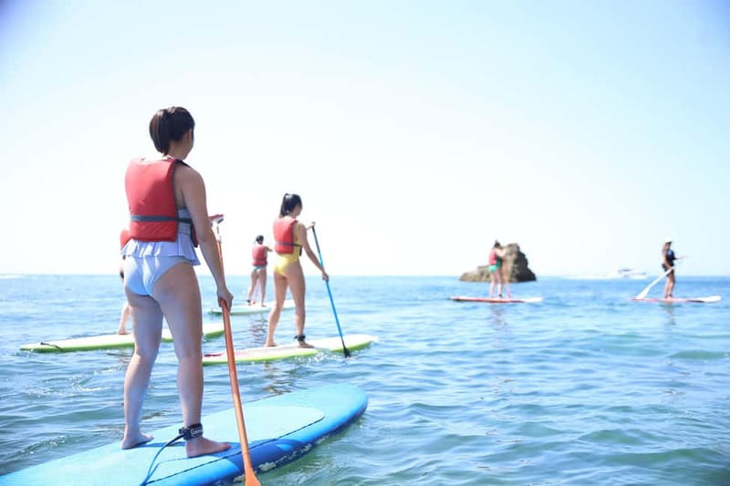 Albufeira: Caves and cliffs Paddleboarding (SUP) Tour - Key points to know before you book