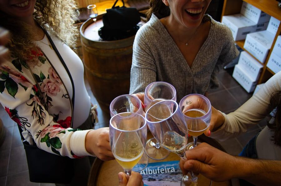 Albufeira: City Highlights & WINE TASTING - The vineyard visit and four Algarve wines