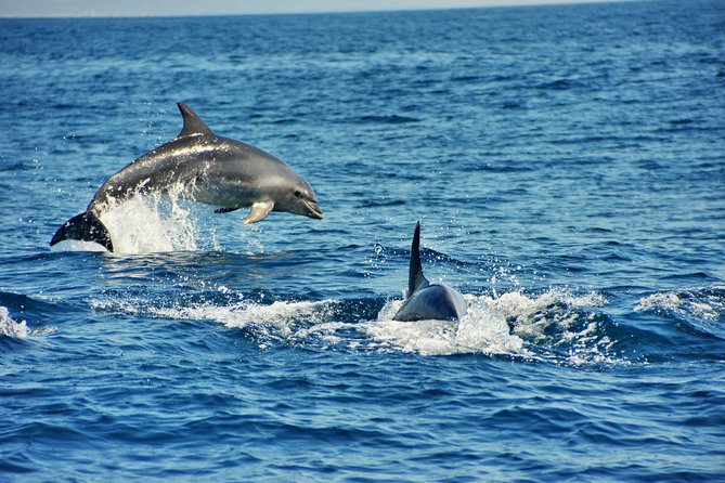 Albufeira Dreamer Boat Trip - Alfanzina Lighthouse and the western return