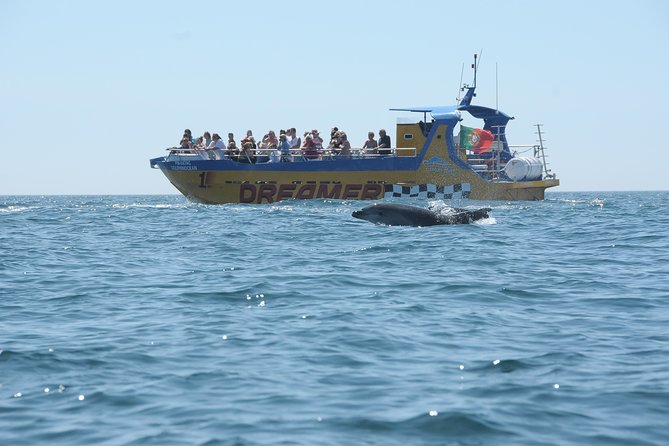 Albufeira Dreamer Boat Trip - How much value do you get for $42.33?
