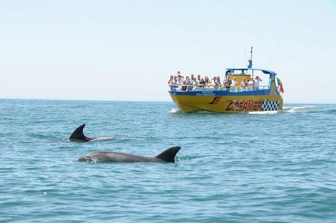 Albufeira Dreamer Boat Trip - Looking for dolphins along the Algarve