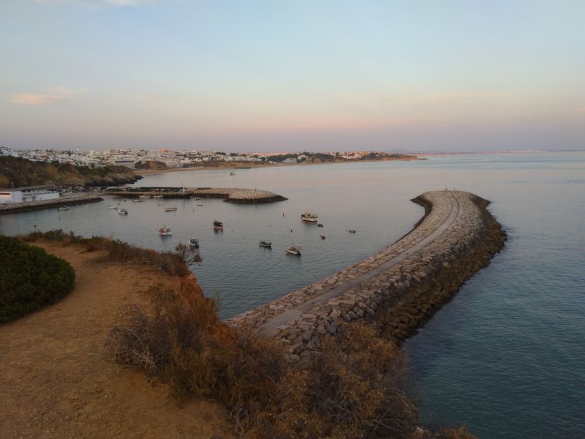 Albufeira: Guided Tour by Tuk-Tuk - Comfort, safety, and who should skip it
