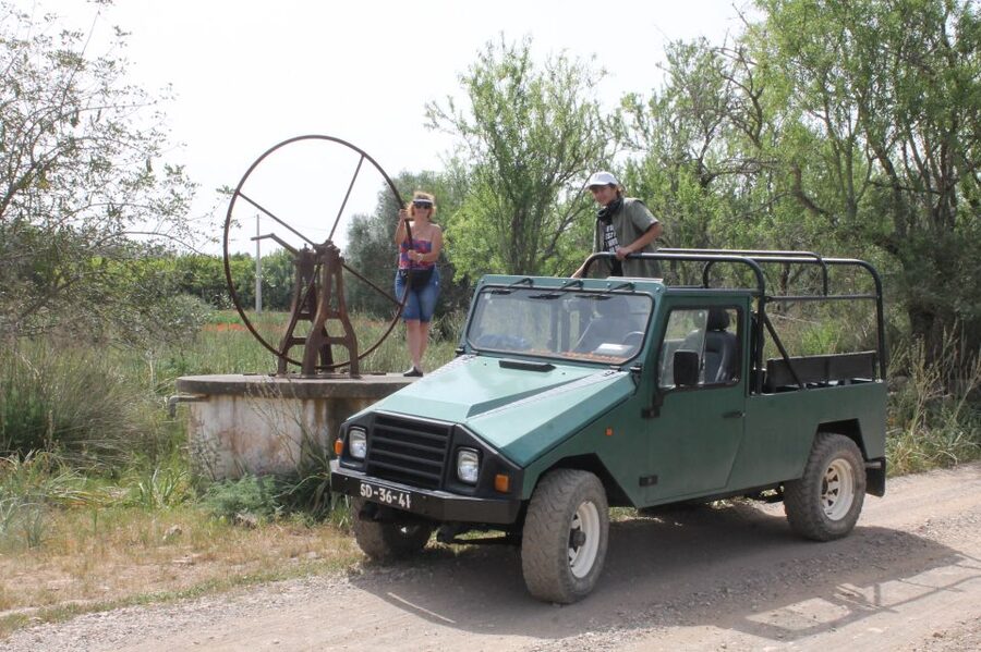 Albufeira: Jeep Safari Half-Day Countryside Tour - Viewpoints, orange groves, and the working Algarve