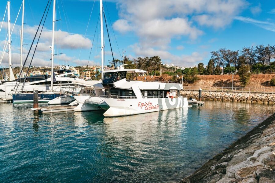Albufeira: Sightseeing Cruise with Beach BBQ and Open Bar - Should you book this Albufeira beach BBQ cruise?