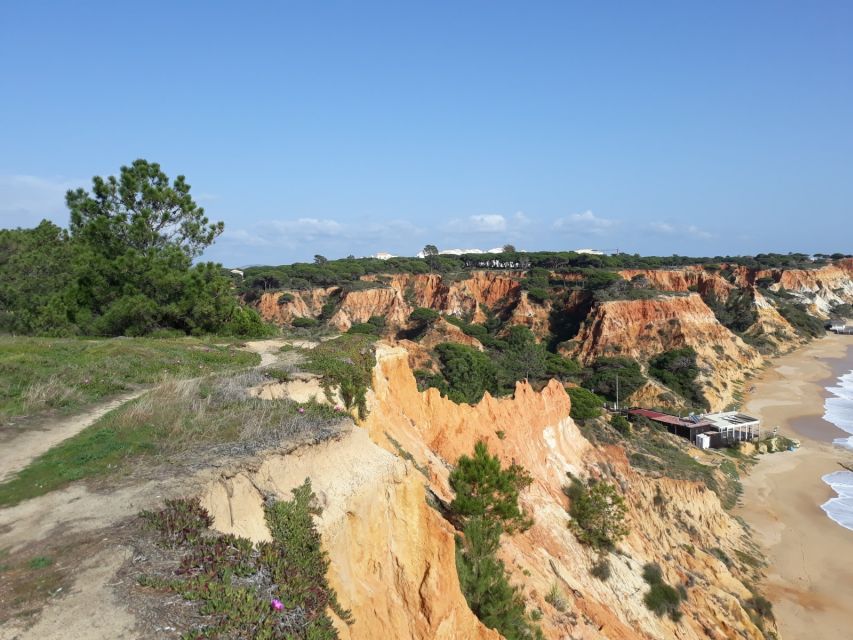 Albufeira: Tuk-tuk Sightseeing Tour - Who should book this tour?