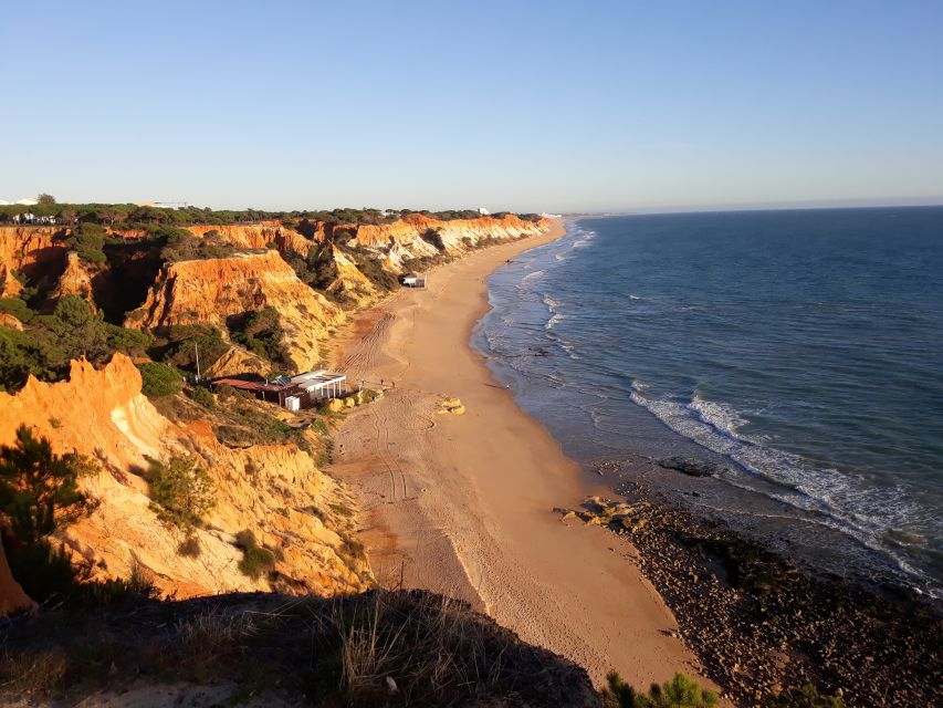 Albufeira: Tuk-tuk Sightseeing Tour - Why a tuk-tuk works well in Albufeira