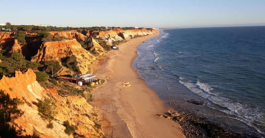 Albufeira: Tuk-tuk Sightseeing Tour - Marina views and the fishing port