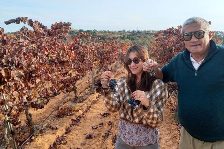 Albufeira/Vilamoura: Winery Tour with Wine Tasting and Tapas - From Albufeira streets to the vineyard