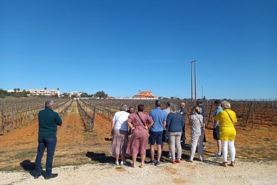 Albufeira/Vilamoura: Winery Tour with Wine Tasting and Tapas - What $69 buys you