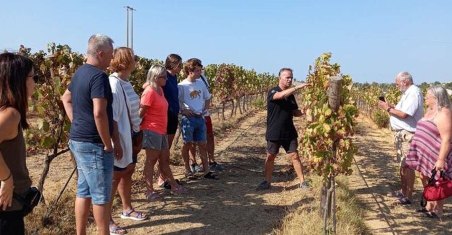 Albufeira/Vilamoura: Winery Tour with Wine Tasting and Tapas - The winery and the people behind the bottles