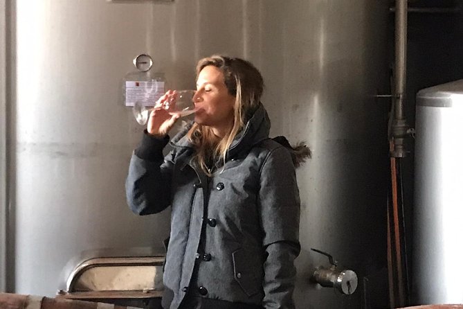 Albufeira Wine Tasting: Boutique Winery Tour & Historic Silves - What the four hours feel like