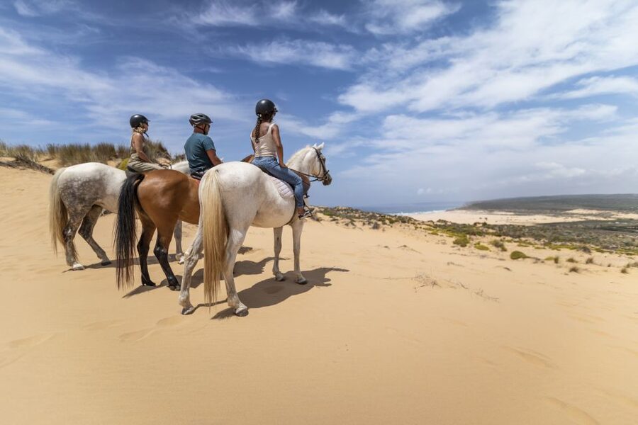 Algarve: 1-Hour Carrapateira Horseback Riding Tour - Key points to know before booking