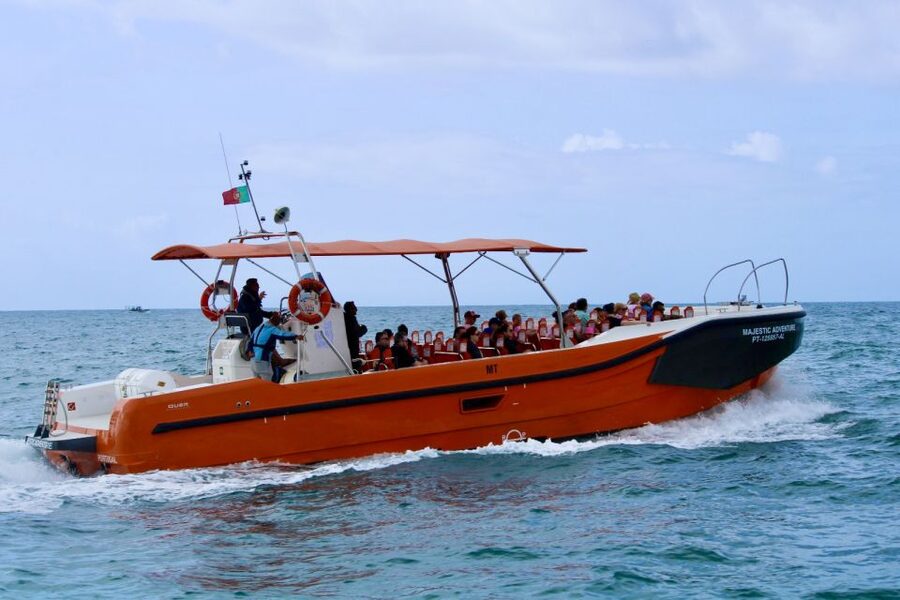 Algarve: Benagil Caves Open Speedboat Tour - Dolphin watching on the Algarve coast