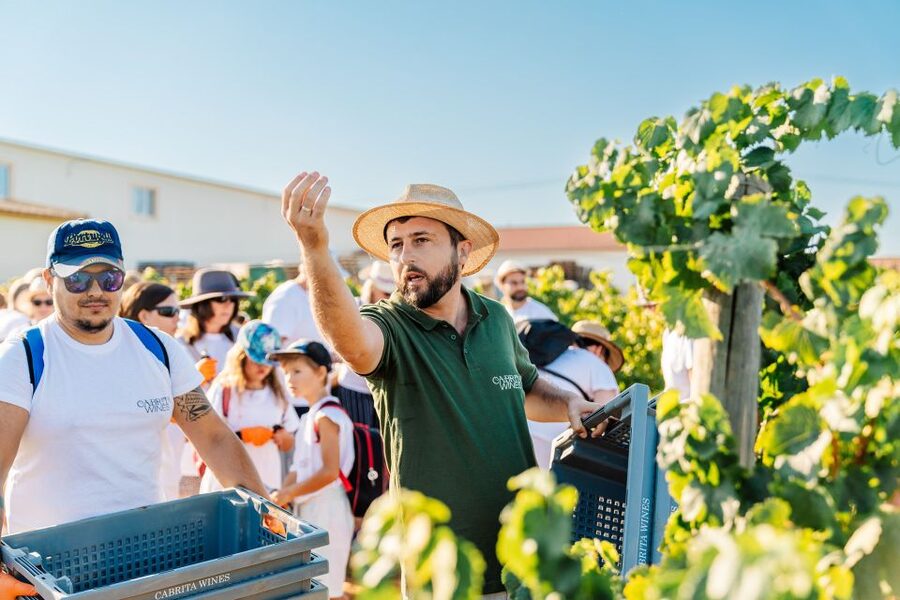Algarve: Classic Wine Tour & Tasting in Silves - How the Experience Handles Different Needs