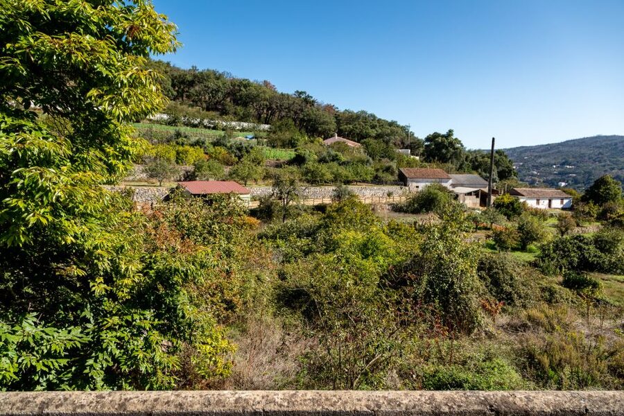 Algarve: Full-Day Guided Sightseeing Tour with Lunch - Costa Vicentina offers a wilder side of Portugal