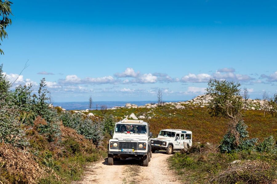 Algarve: Full-Day Guided Sightseeing Tour with Lunch - Caldas de Monchique and the climb to Fóia