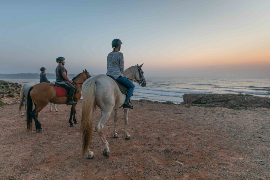 Algarve: Horse Riding Beach Tour at Sunset or Morning - From Carrapateira village to the pine forest