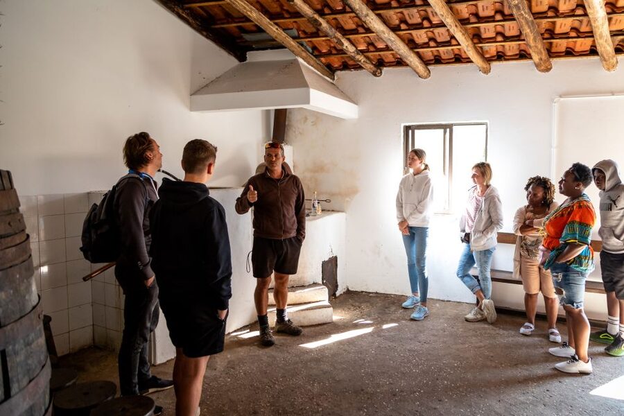 Algarve: Jeep Safari with Distillery Visit & Lunch - Lunch at a local restaurant