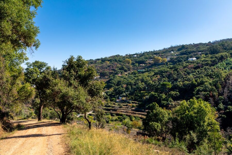 Algarve: Jeep Safari with Distillery Visit & Lunch - The guides shape the whole day