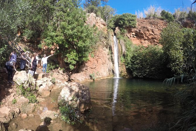 Algarve Safari - Full Day Tour from Albufeira w / lunch - Paderne Castle and a village with local character