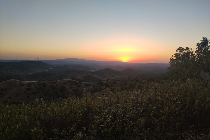 Algarve Sunset Safari Tour from Albufeira - Should you book it?