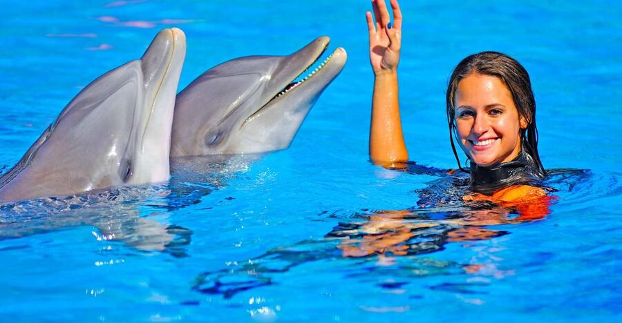 Algarve: Zoomarine Amusement Park Entry Ticket - Dolphin and sea lion presentations