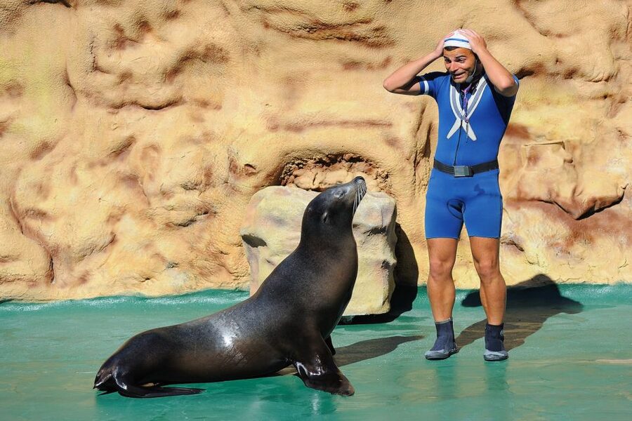Algarve: Zoomarine Amusement Park Entry Ticket - Food, lockers, and useful park comforts