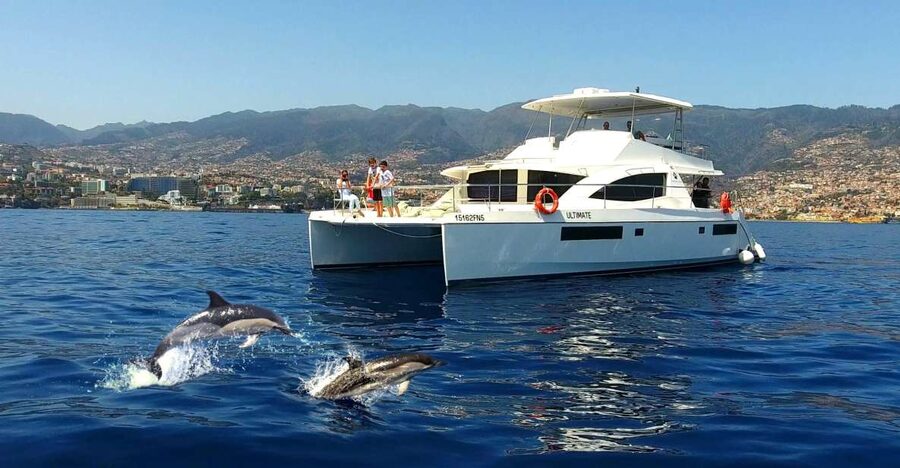 All Inclusive Whale and Dolphin Watching Luxury Tour - Setting Out From Funchal With Sparkling Wine