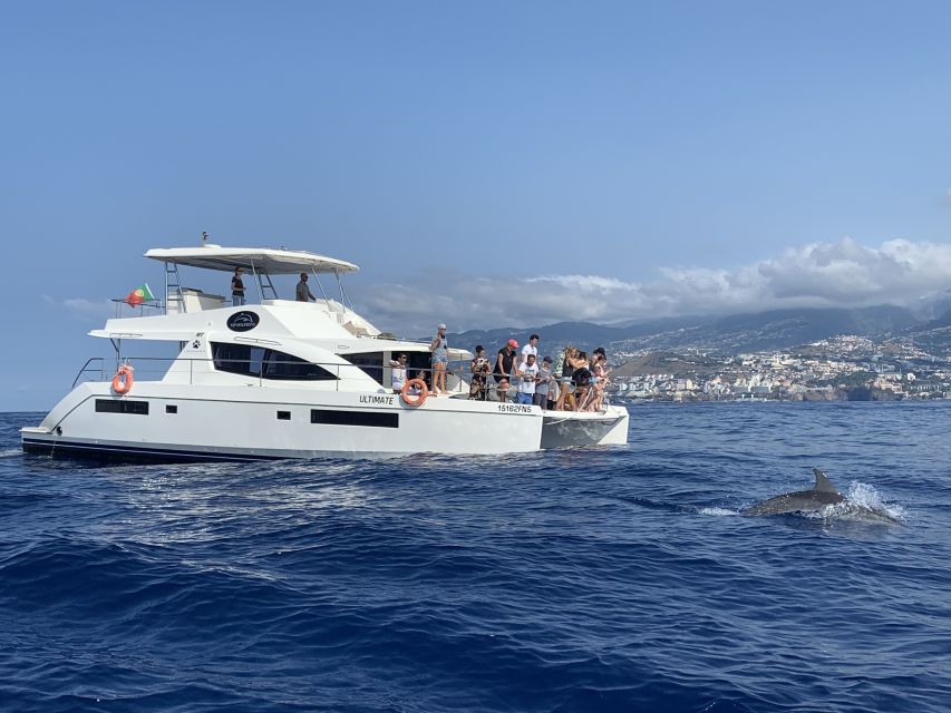All Inclusive Whale and Dolphin Watching Luxury Tour - FAQ