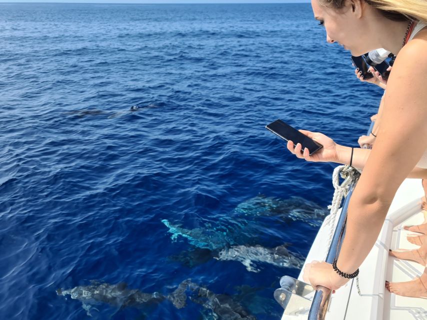 All Inclusive Whale and Dolphin Watching Luxury Tour - Who Will Enjoy This Catamaran Most?