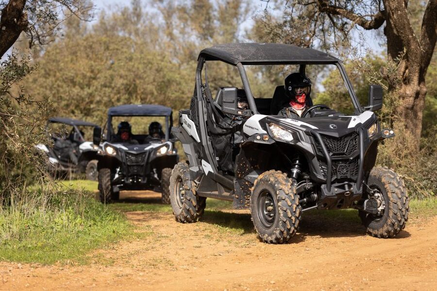 Almancil: Algarve Guided Off-Road Buggy Adventure - Trading the Algarve coast for inland tracks