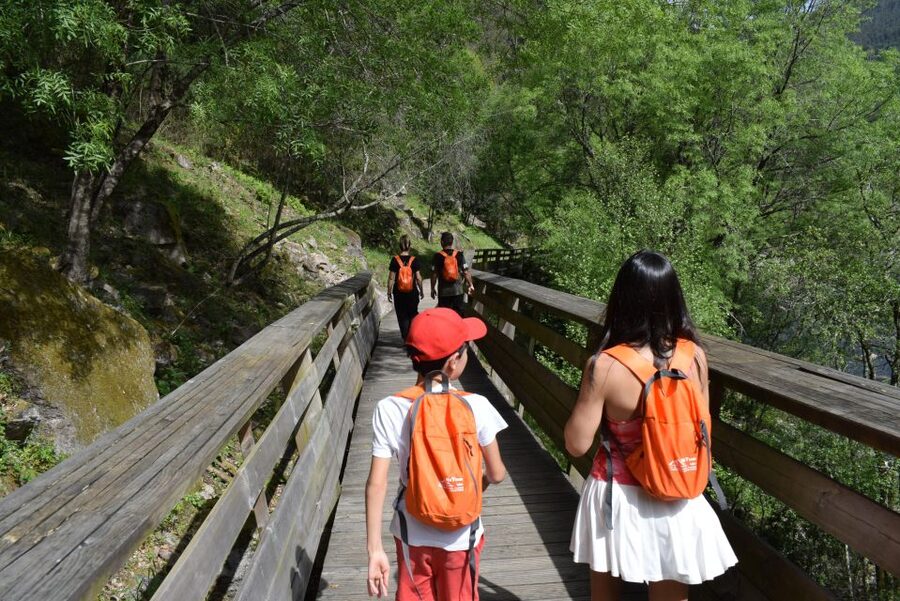 Alvarenga: Paiva Walkways and 516 Arouca Bridge Guided Tour - Eight kilometers along the Paiva Walkways